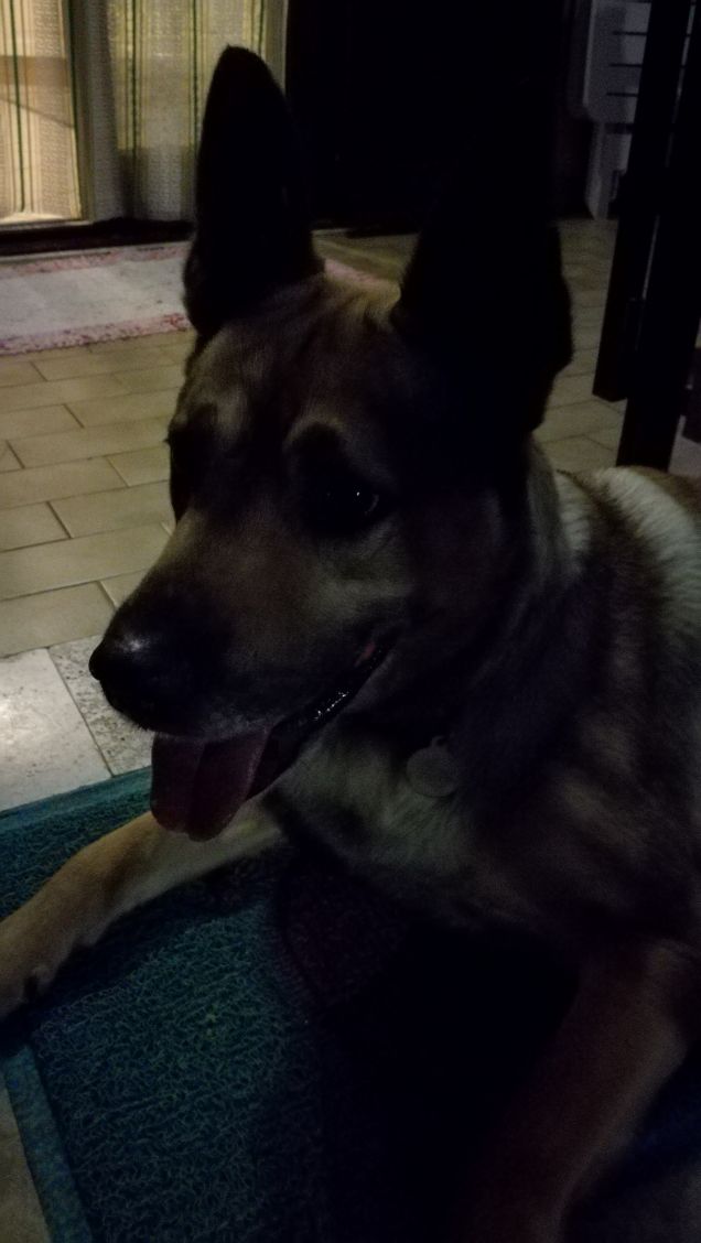 Si sta facendo notte27