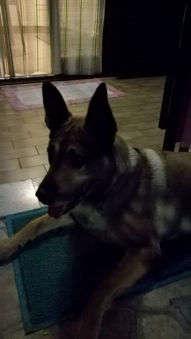 Si sta facendo notte28