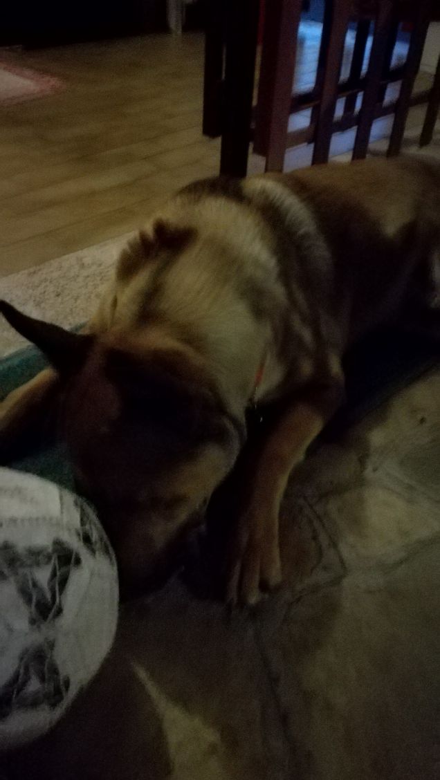 Si sta facendo notte29