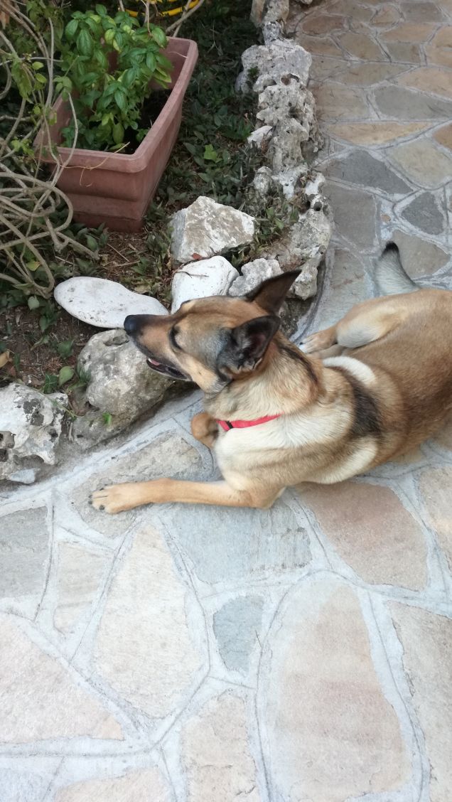  A te solo debbo che il mio cuore non sia inaridito1