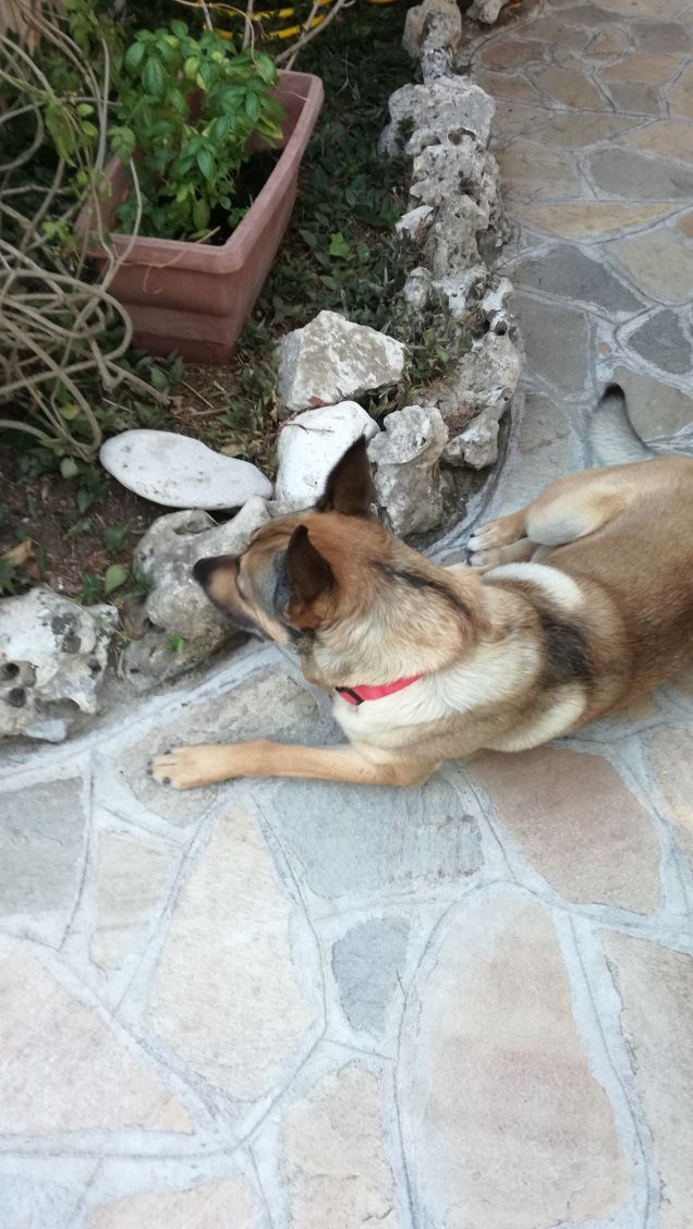  A te solo debbo che il mio cuore non sia inaridito2