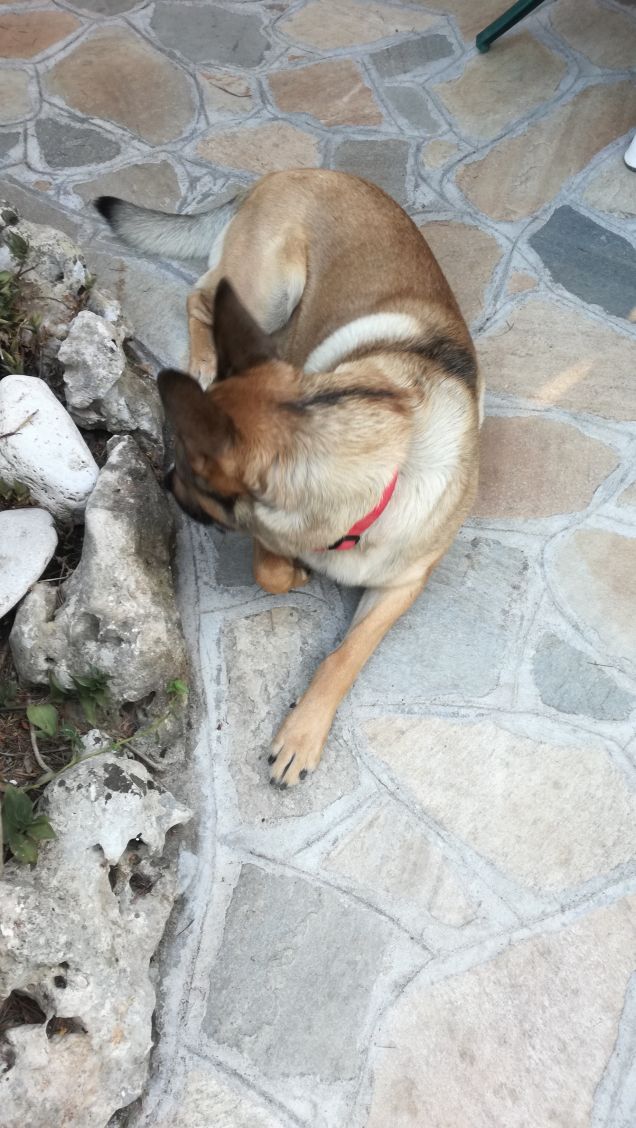  A te solo debbo che il mio cuore non sia inaridito3