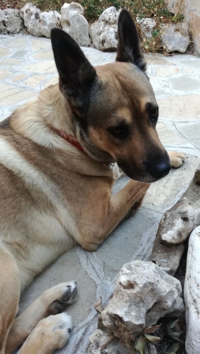  A te solo debbo che il mio cuore non sia inaridito5