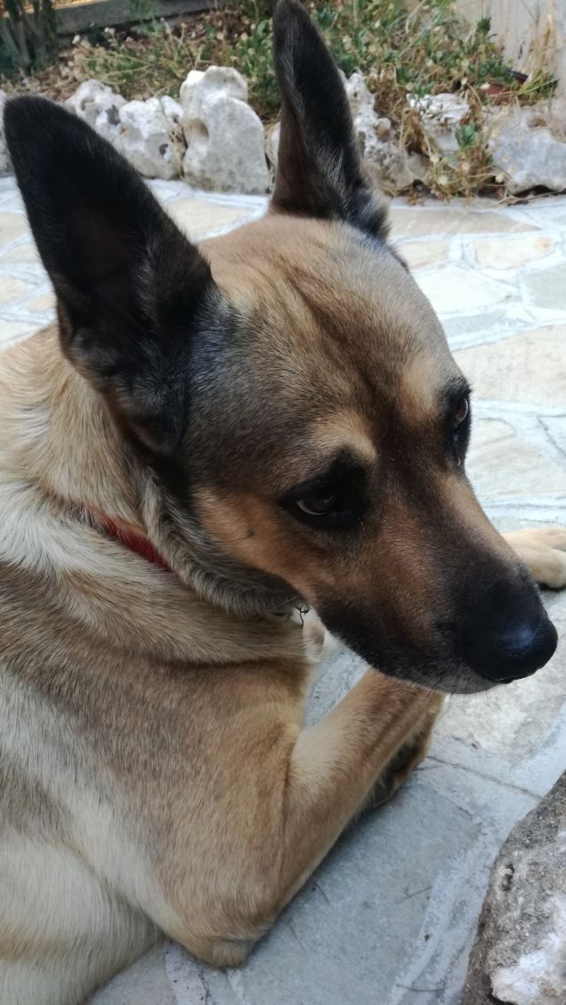  A te solo debbo che il mio cuore non sia inaridito6