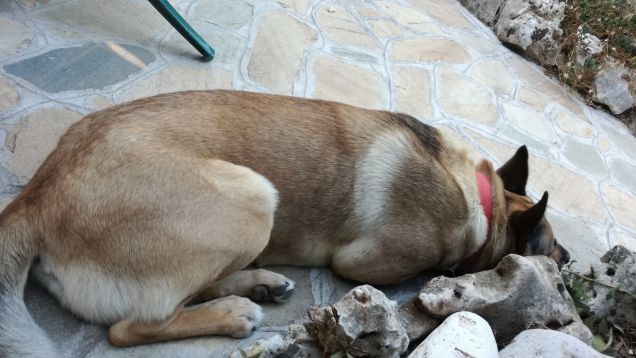  A te solo debbo che il mio cuore non sia inaridito8