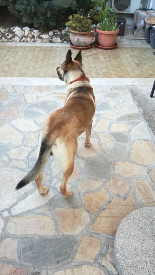  A te solo debbo che il mio cuore non sia inaridito9