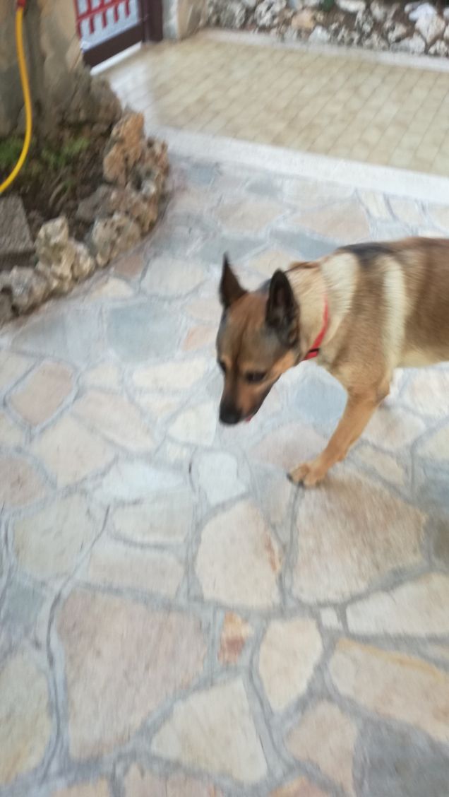 A te solo debbo che il mio cuore non sia inaridito10