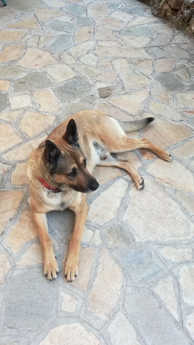  A te solo debbo che il mio cuore non sia inaridito12