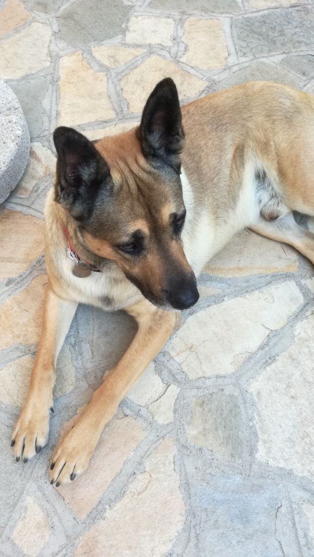  A te solo debbo che il mio cuore non sia inaridito13