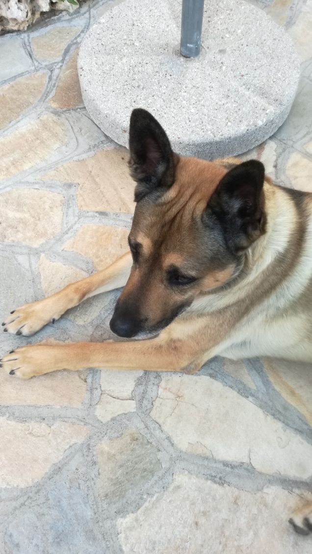  A te solo debbo che il mio cuore non sia inaridito14