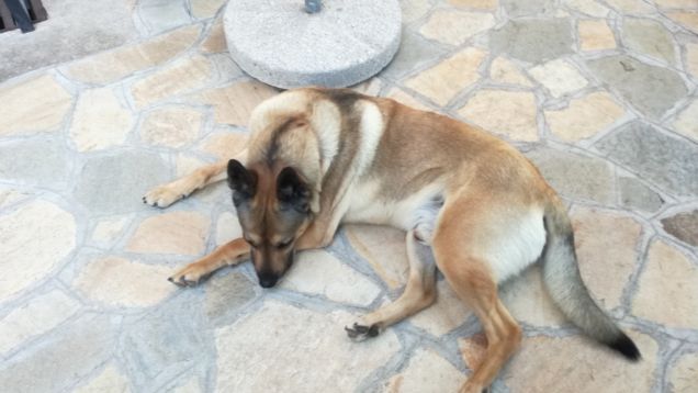  A te solo debbo che il mio cuore non sia inaridito15