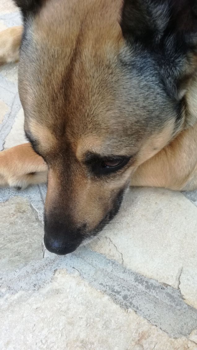  A te solo debbo che il mio cuore non sia inaridito16