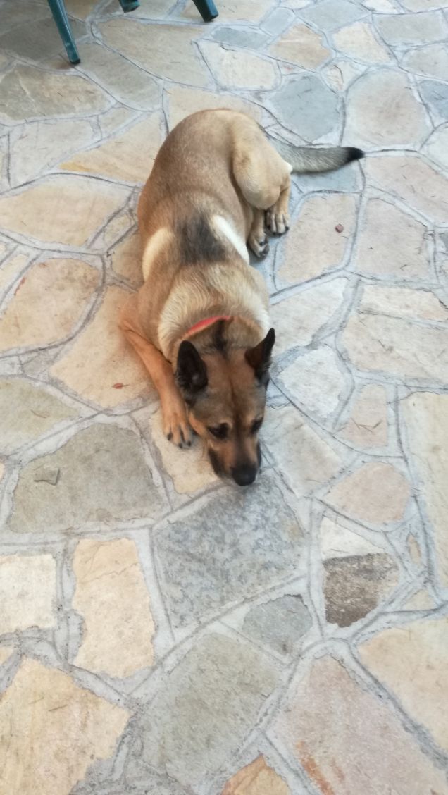  A te solo debbo che il mio cuore non sia inaridito17