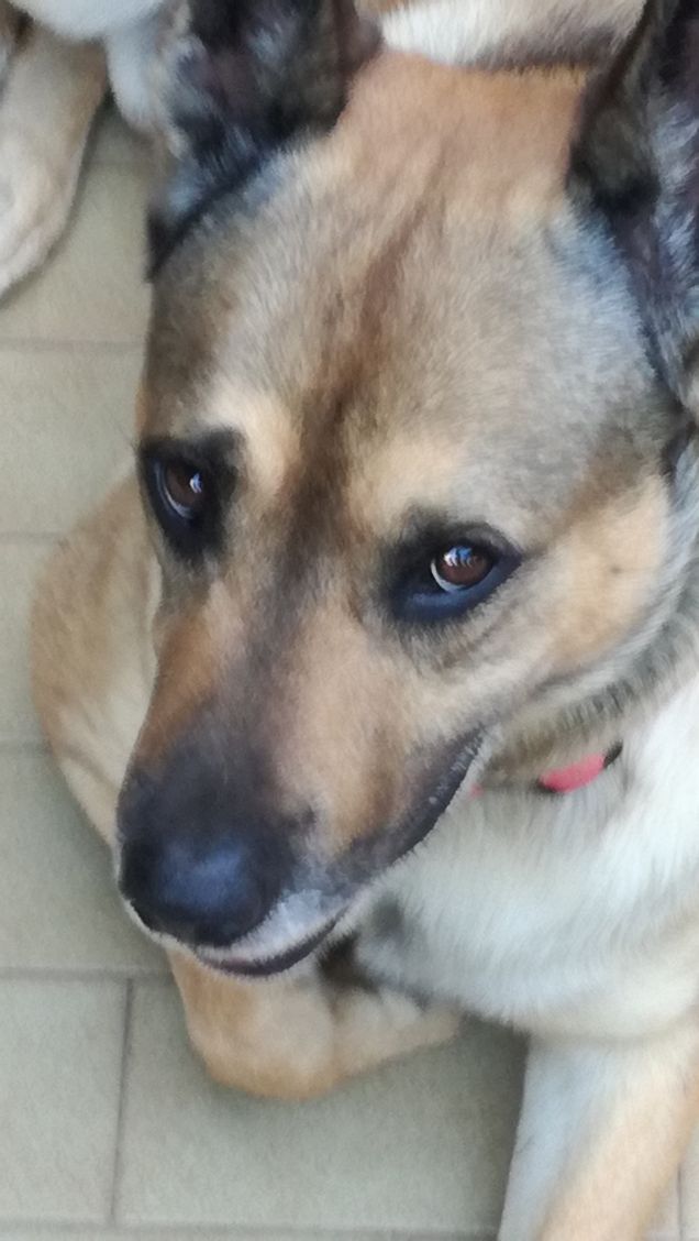  A te solo debbo che il mio cuore non sia inaridito18