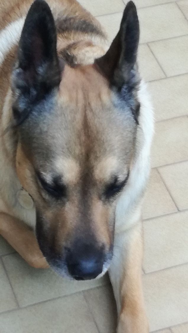  A te solo debbo che il mio cuore non sia inaridito19