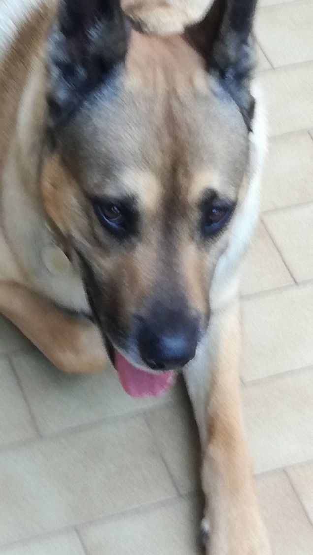  A te solo debbo che il mio cuore non sia inaridito20