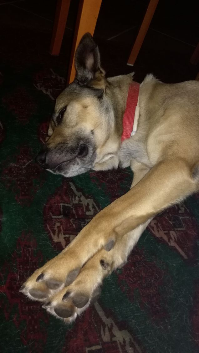 Non si può dormire in pace...servono foto3