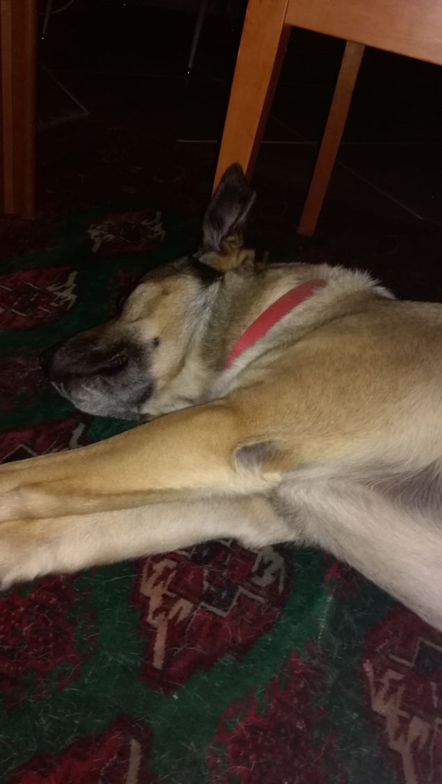 Non si può dormire in pace...servono foto9