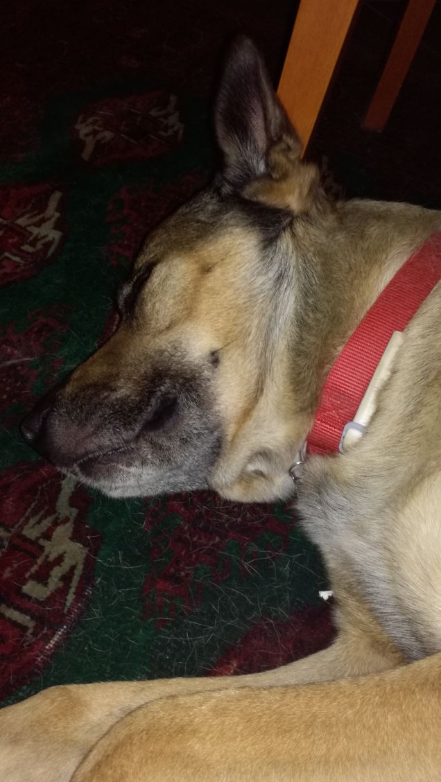 Non si può dormire in pace...servono foto12