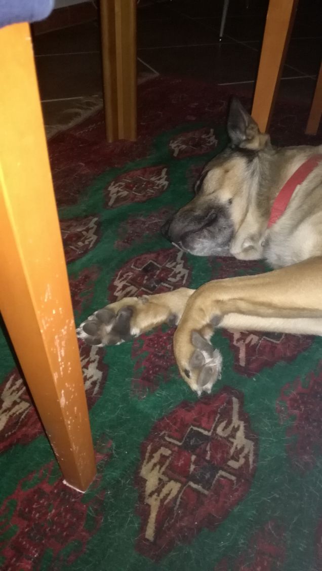 Non si può dormire in pace...servono foto13