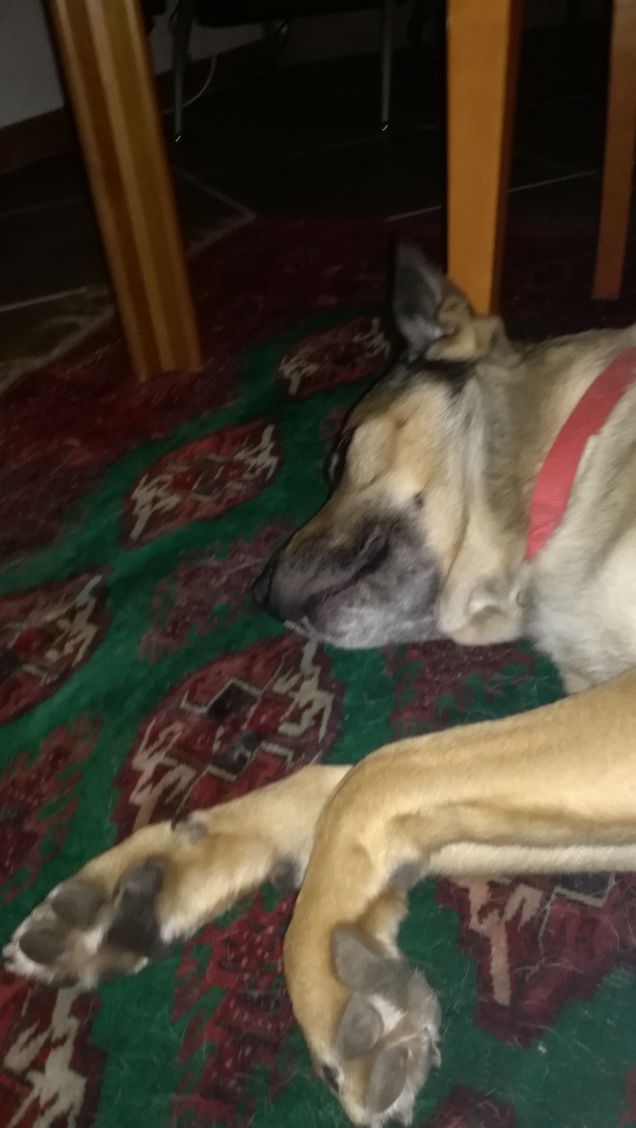 Non si può dormire in pace...servono foto14