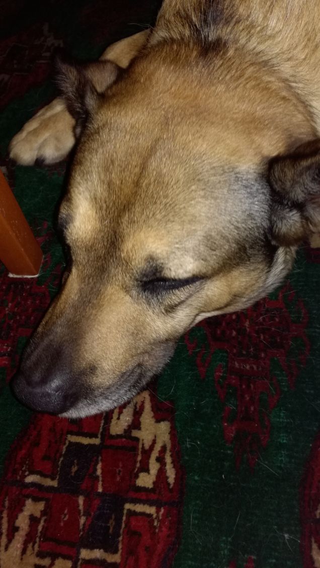 Non si può dormire in pace...servono foto17