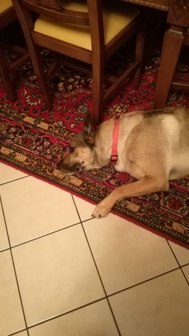 È solo facendo pratica che si impara1