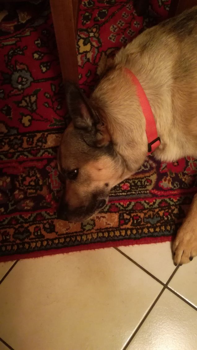 È solo facendo pratica che si impara2