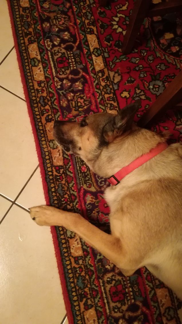 È solo facendo pratica che si impara3