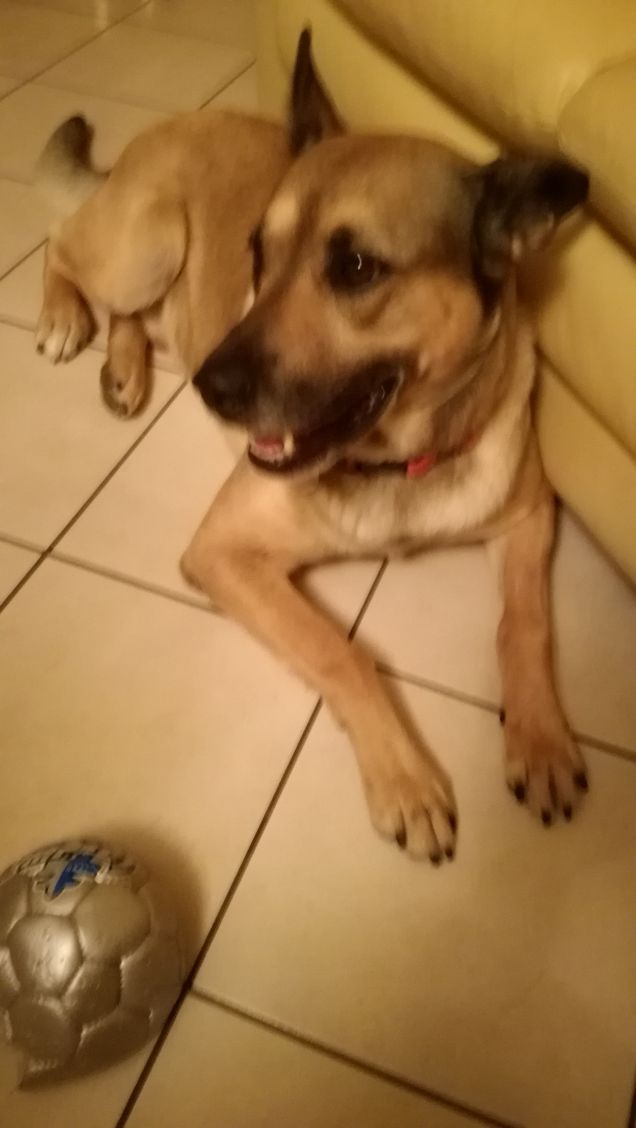 È solo facendo pratica che si impara4