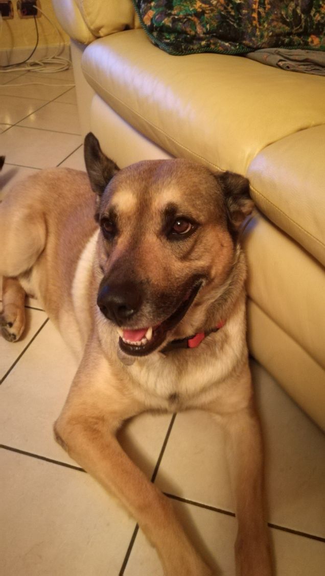 È solo facendo pratica che si impara6