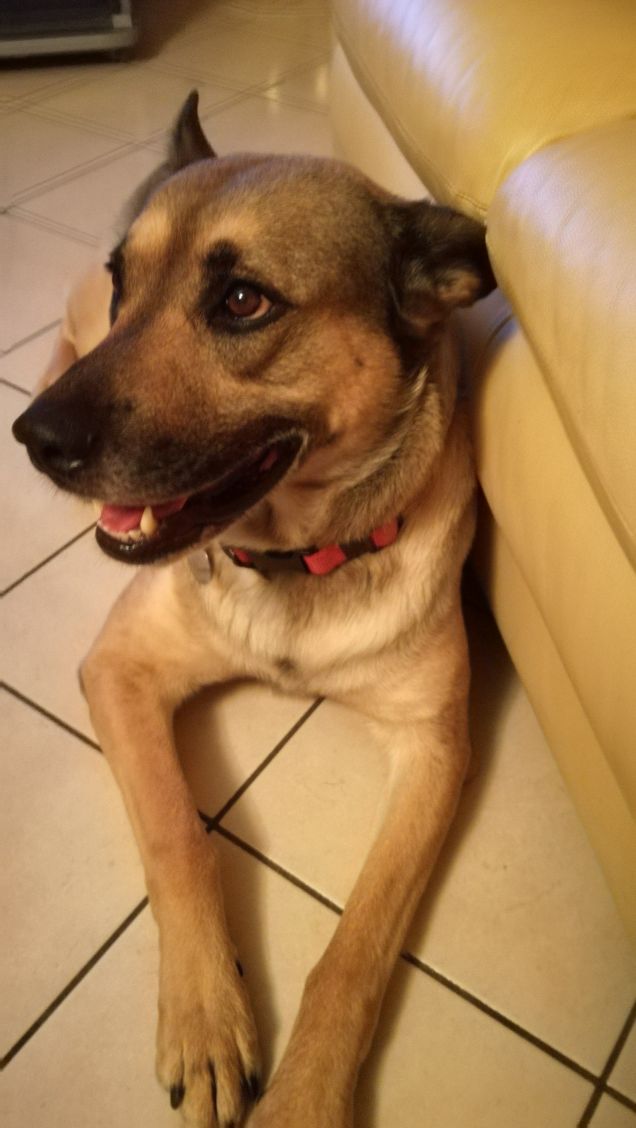 È solo facendo pratica che si impara7