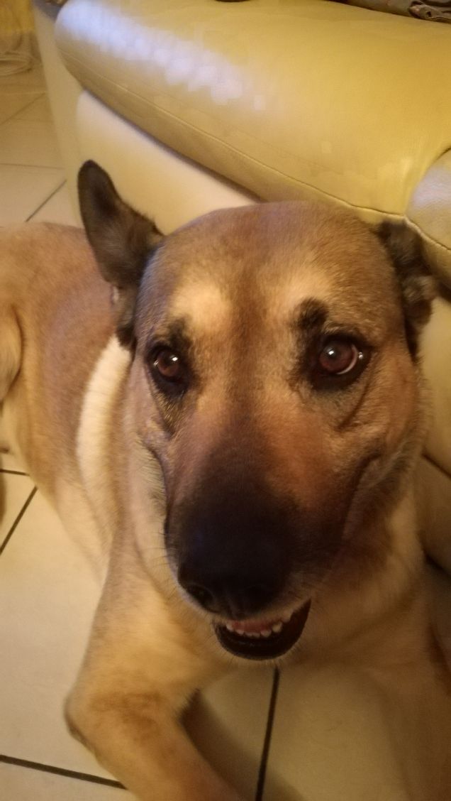 È solo facendo pratica che si impara8