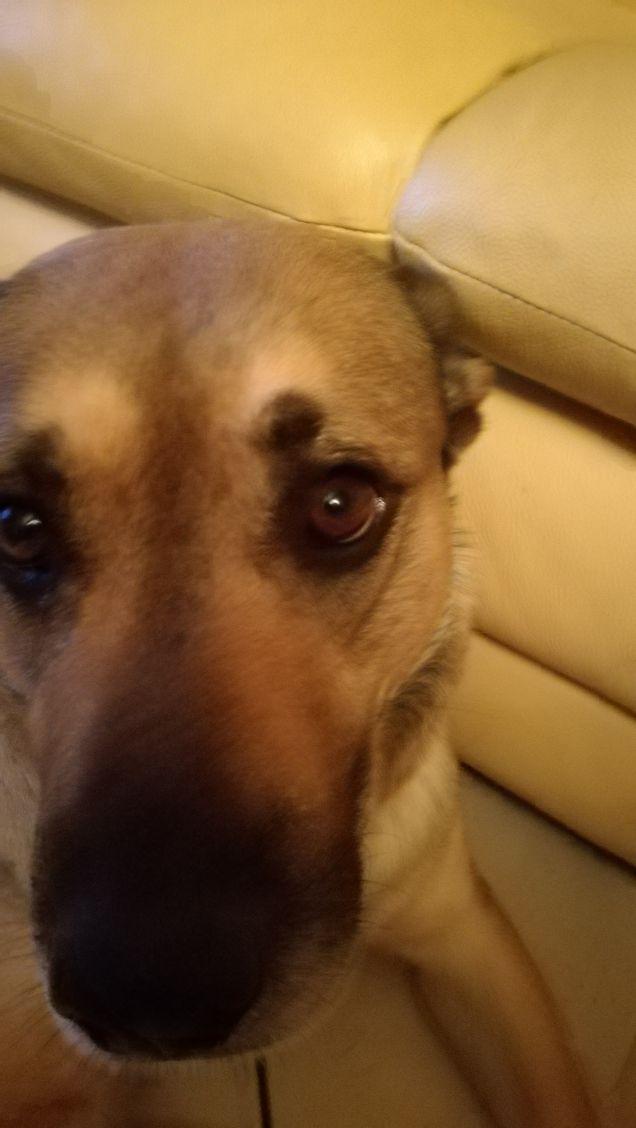 È solo facendo pratica che si impara9