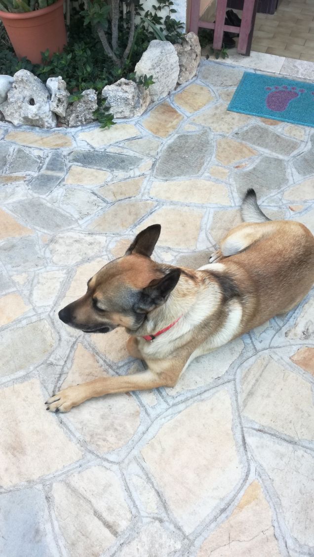 È solo facendo pratica che si impara10