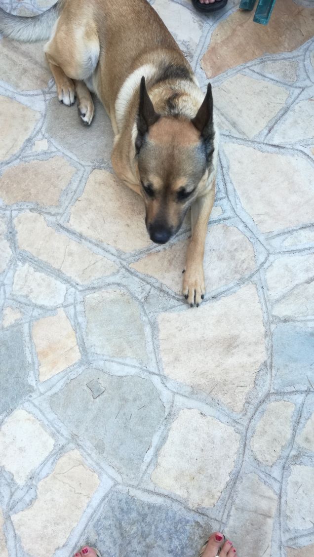 È solo facendo pratica che si impara11