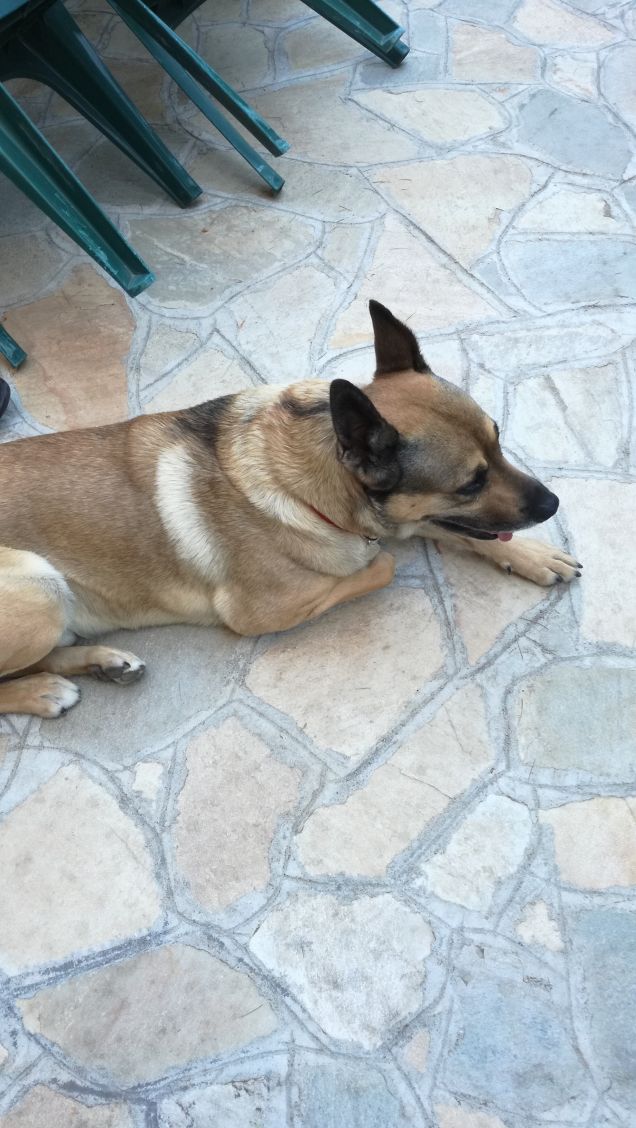 È solo facendo pratica che si impara12