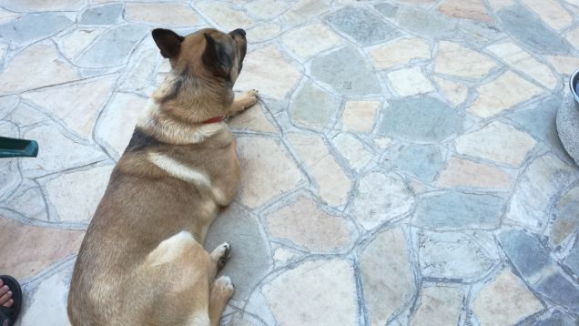 È solo facendo pratica che si impara13