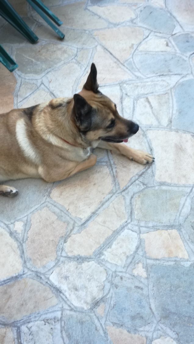 È solo facendo pratica che si impara14