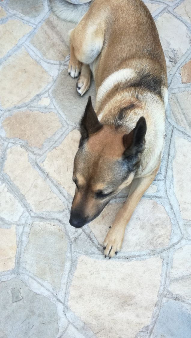 È solo facendo pratica che si impara15