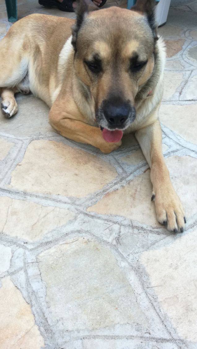 È solo facendo pratica che si impara16