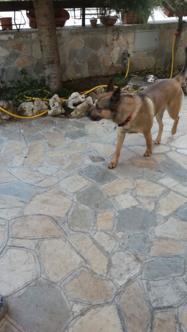 È solo facendo pratica che si impara17