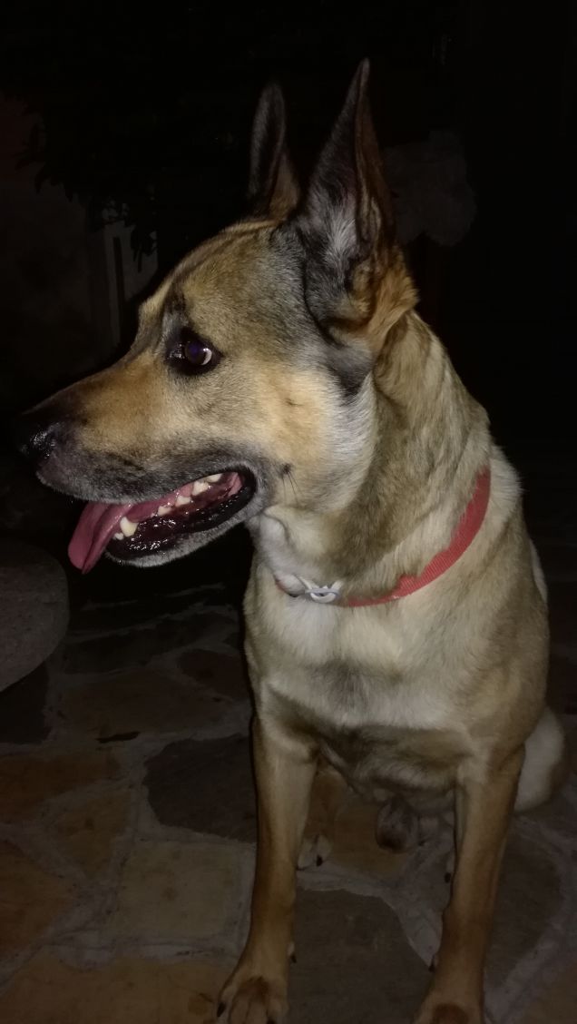 È solo facendo pratica che si impara18