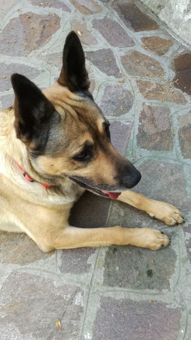 È solo facendo pratica che si impara20