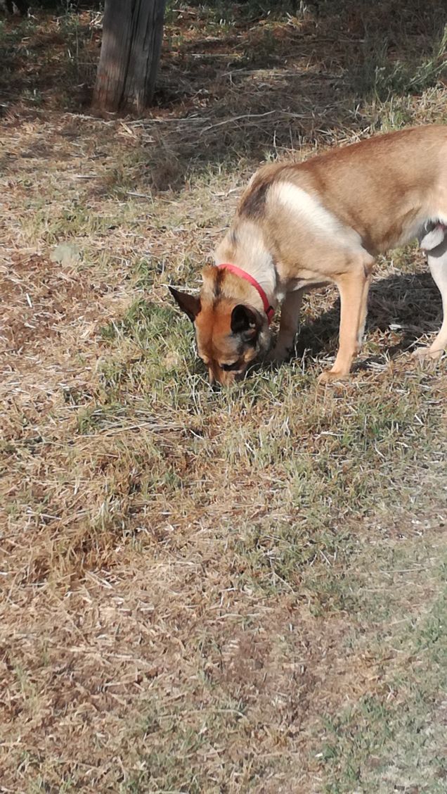 È solo facendo pratica che si impara21