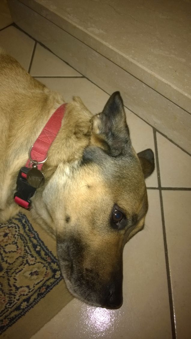 Nuovo anno nuova vita.