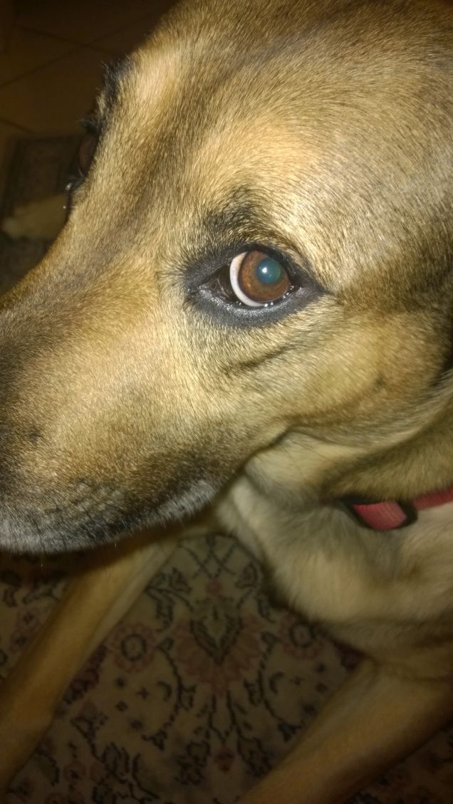 Ne vedremo delle belle.