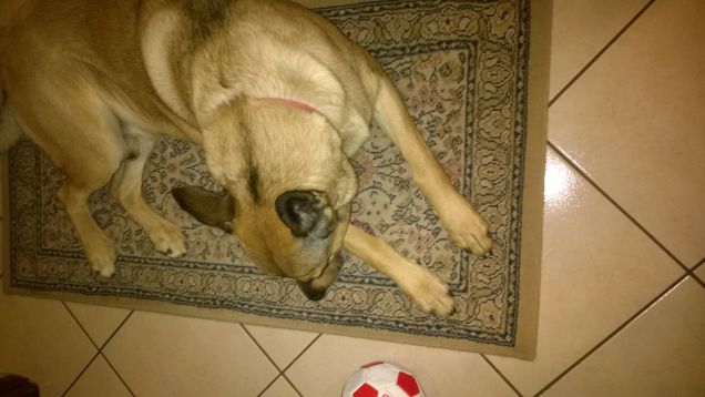 Scusate ma sono stanco.