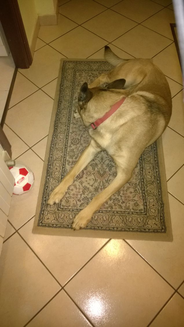 Bella questa comunity.