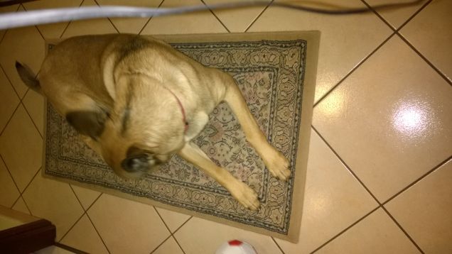 Non sono molto interessato a questo gioco.